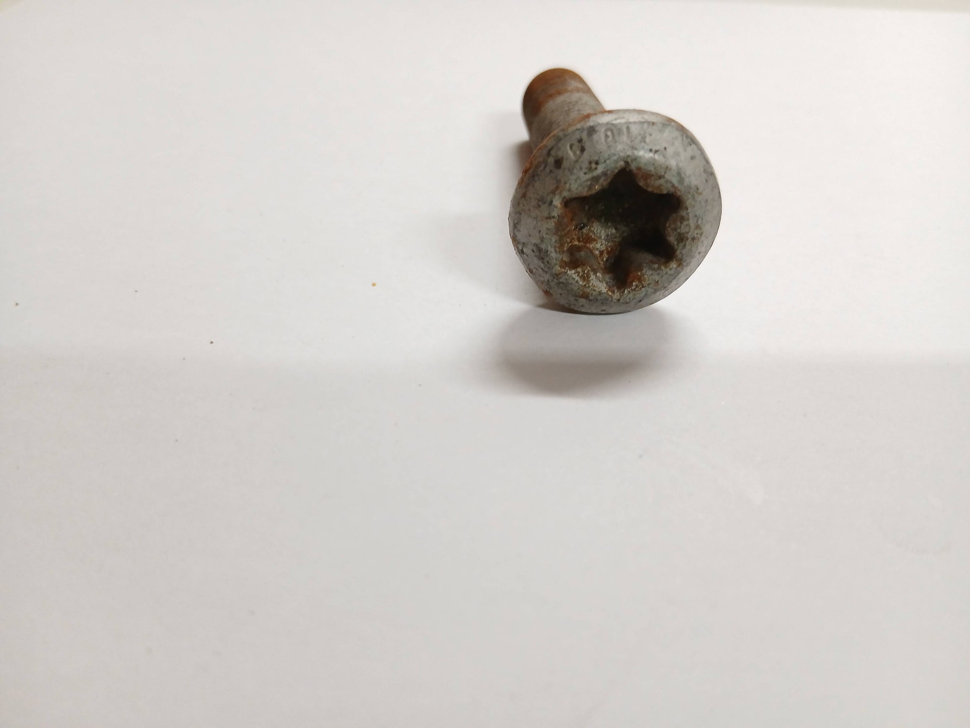 T4A16718,LR100039