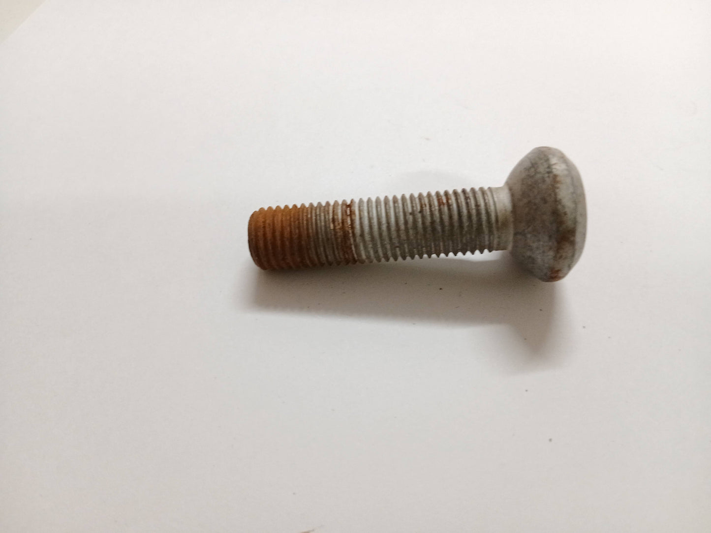 T4A16718,LR100039