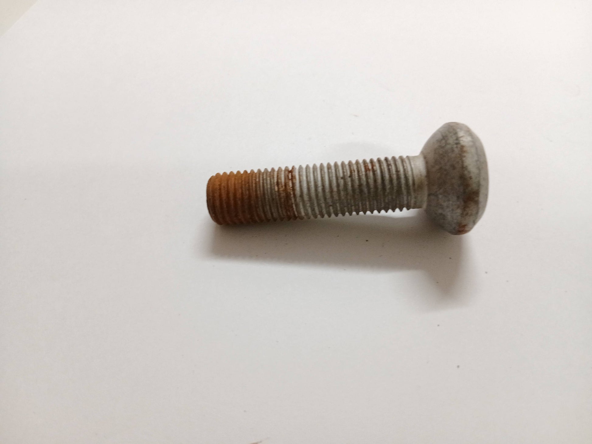 T4A16718,LR100039