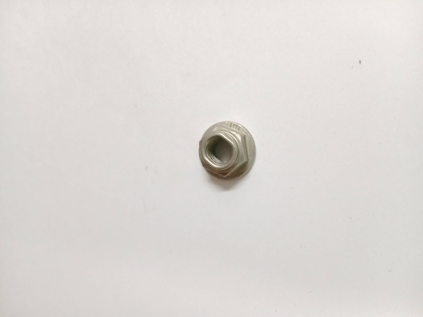 LR038607