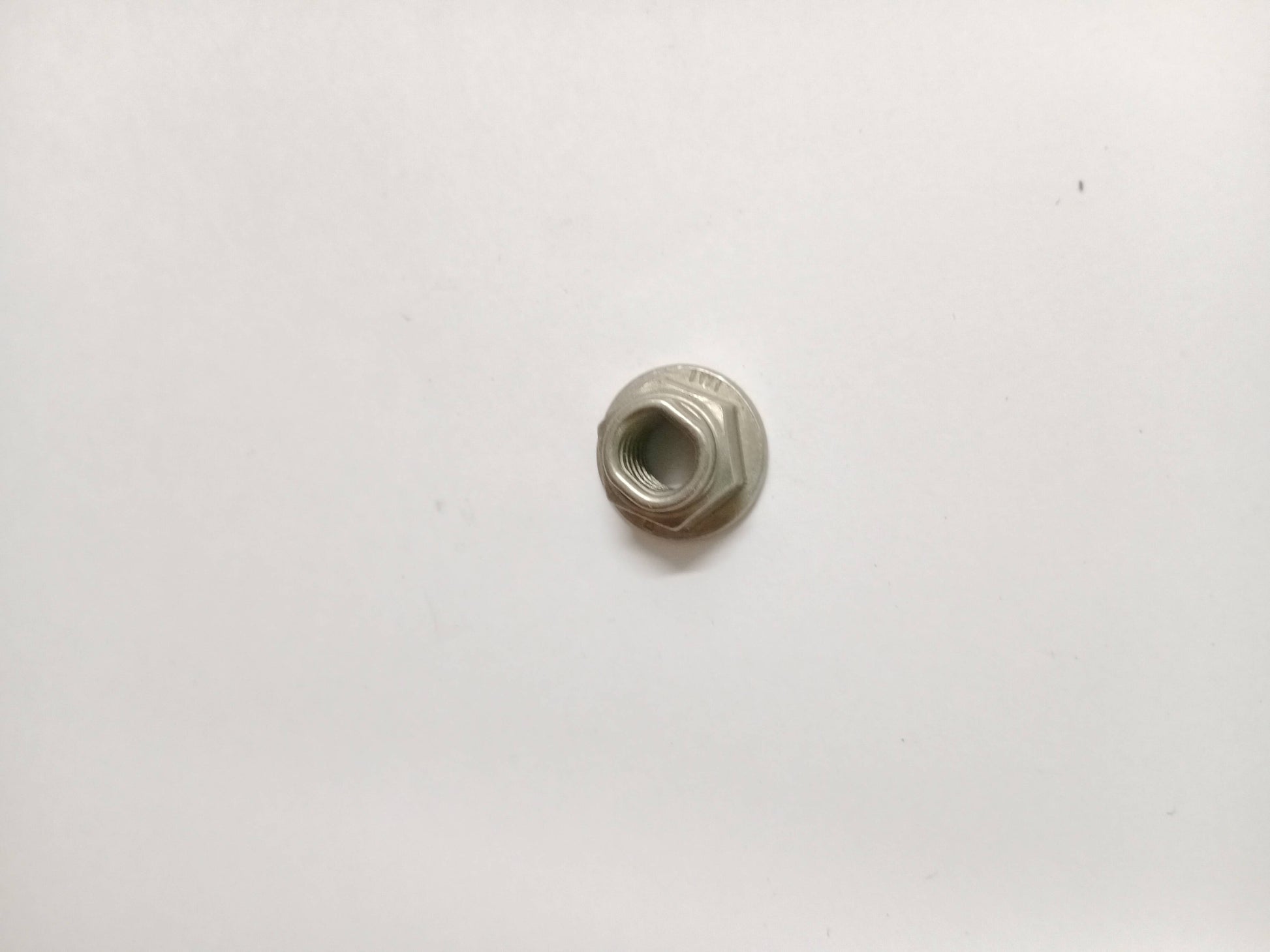 LR038607