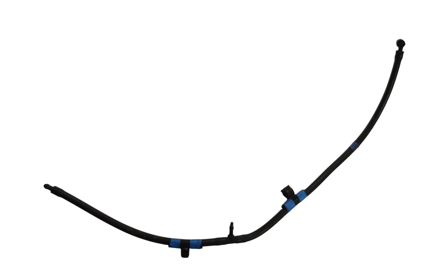 LR037599
