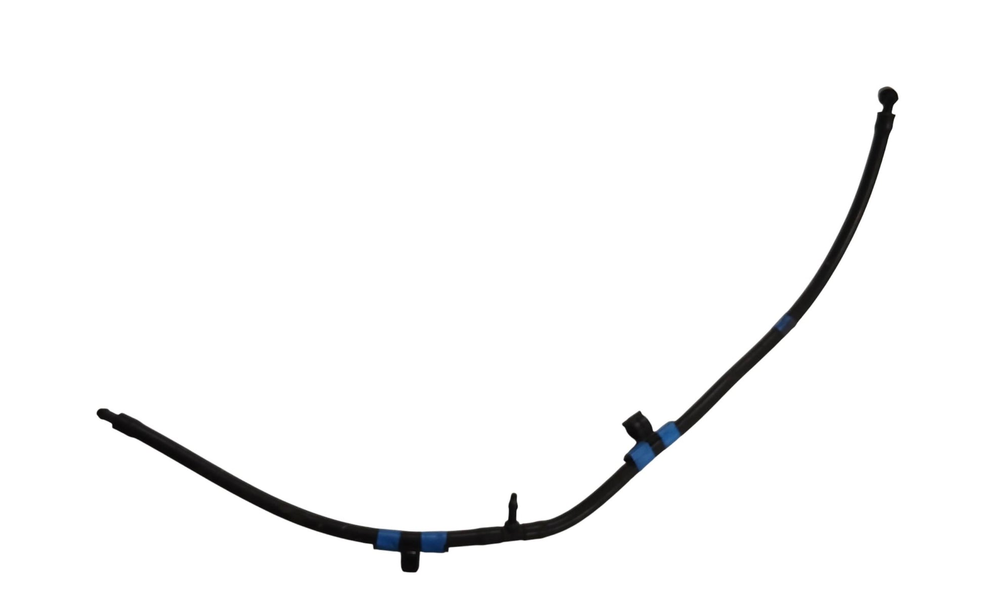LR037599