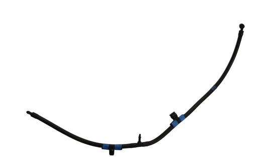 LR037599