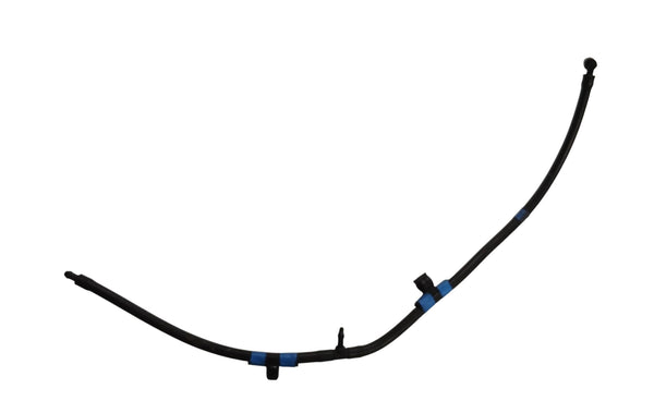 LR037599