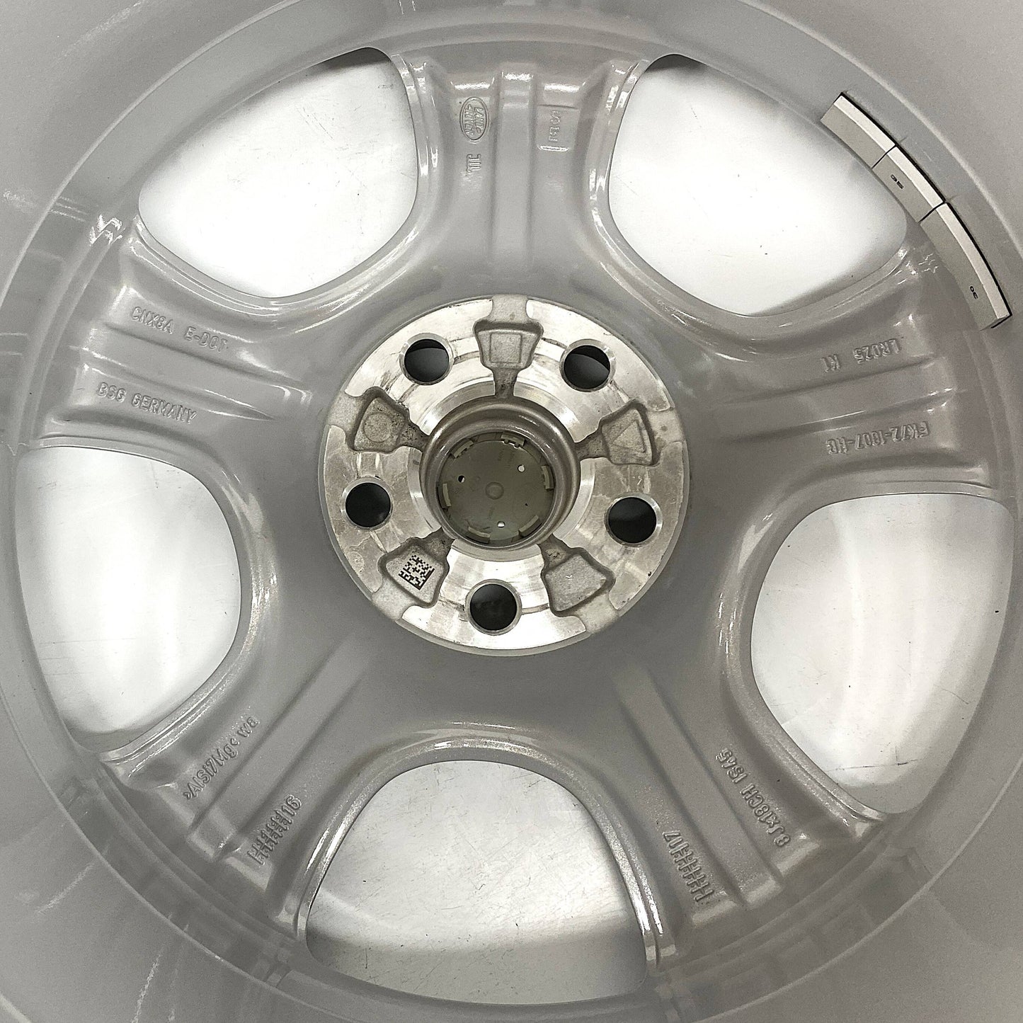 LR073534