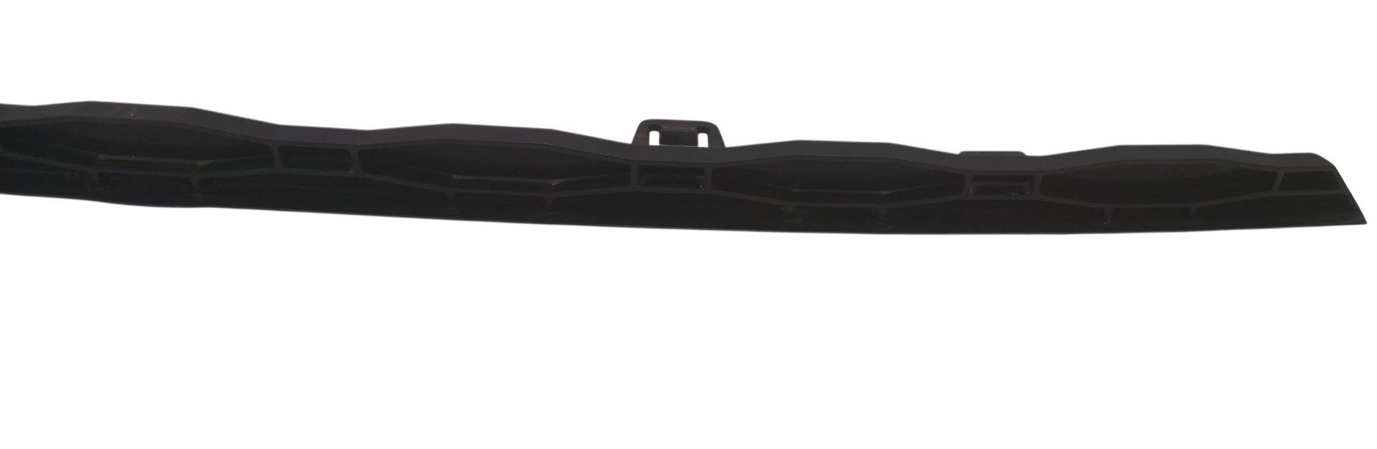 LR169906