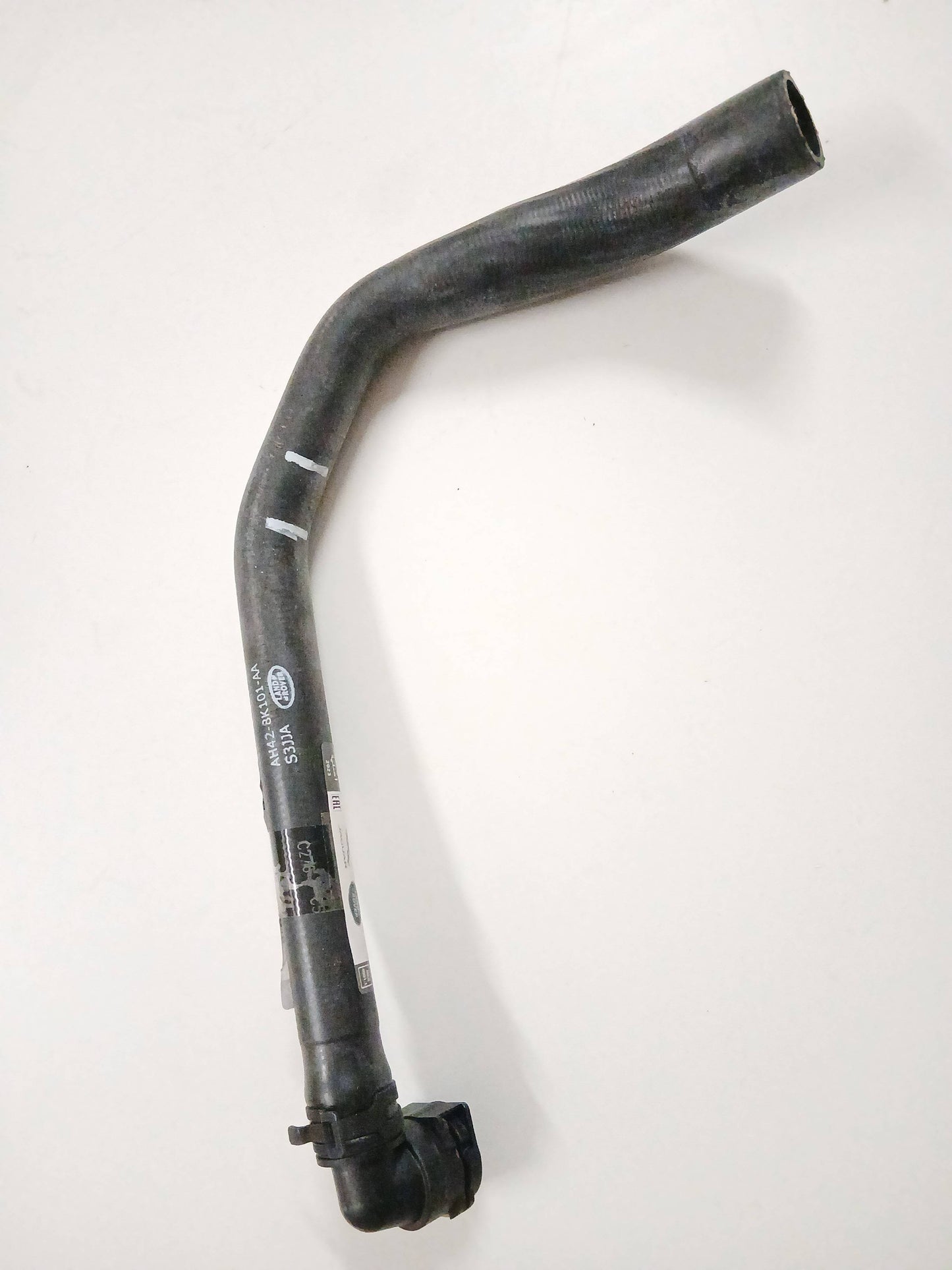 LR017364