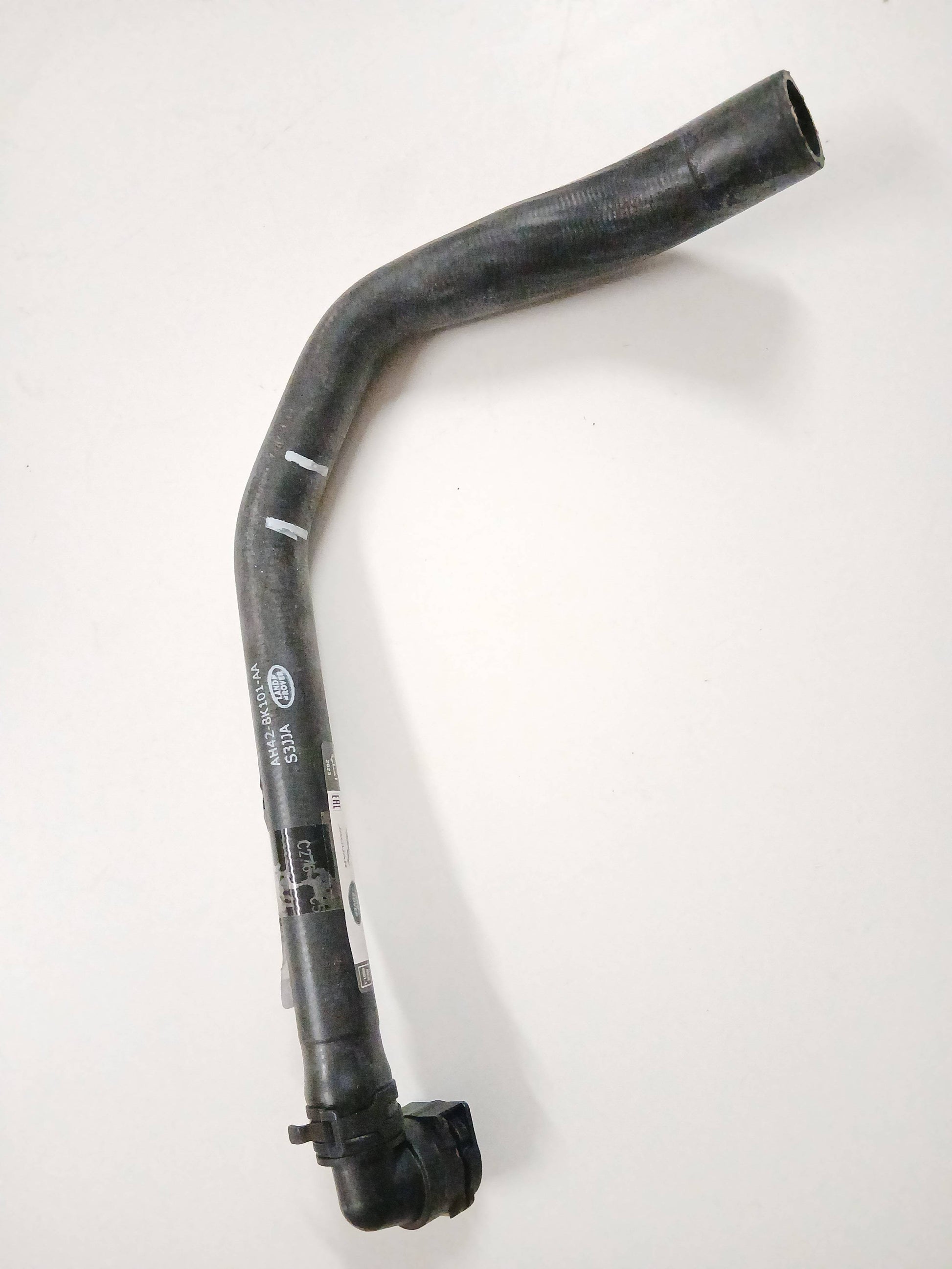 LR017364