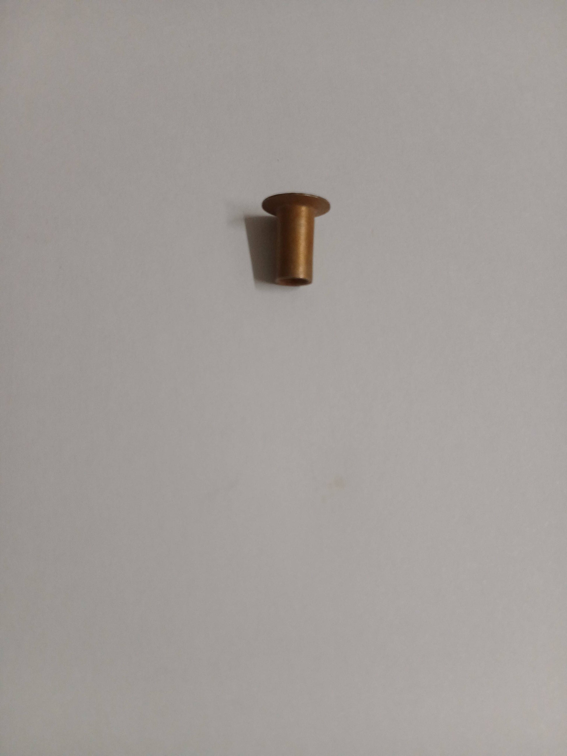 LR099823,C2C20594