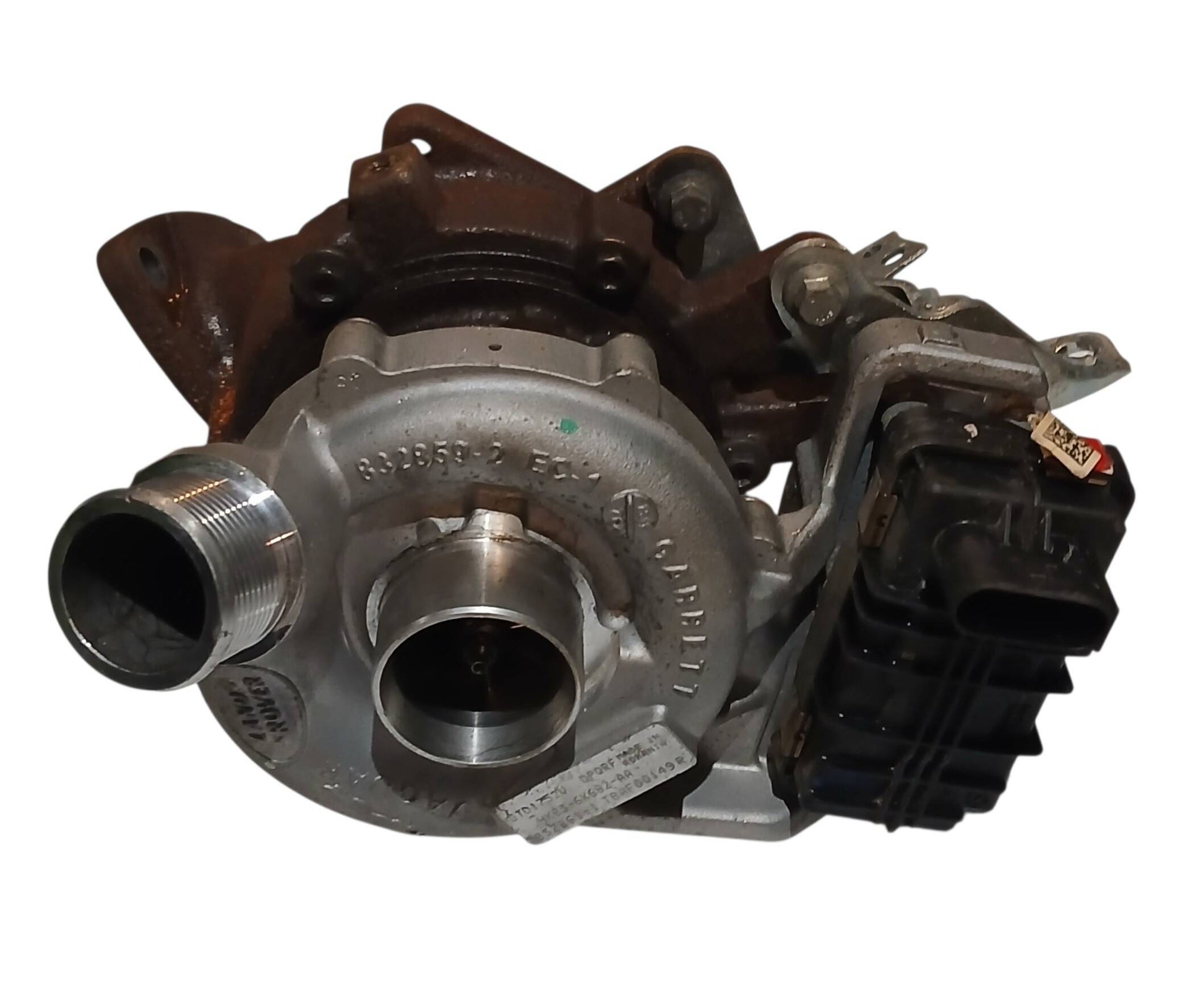 T4A8248,LR091596