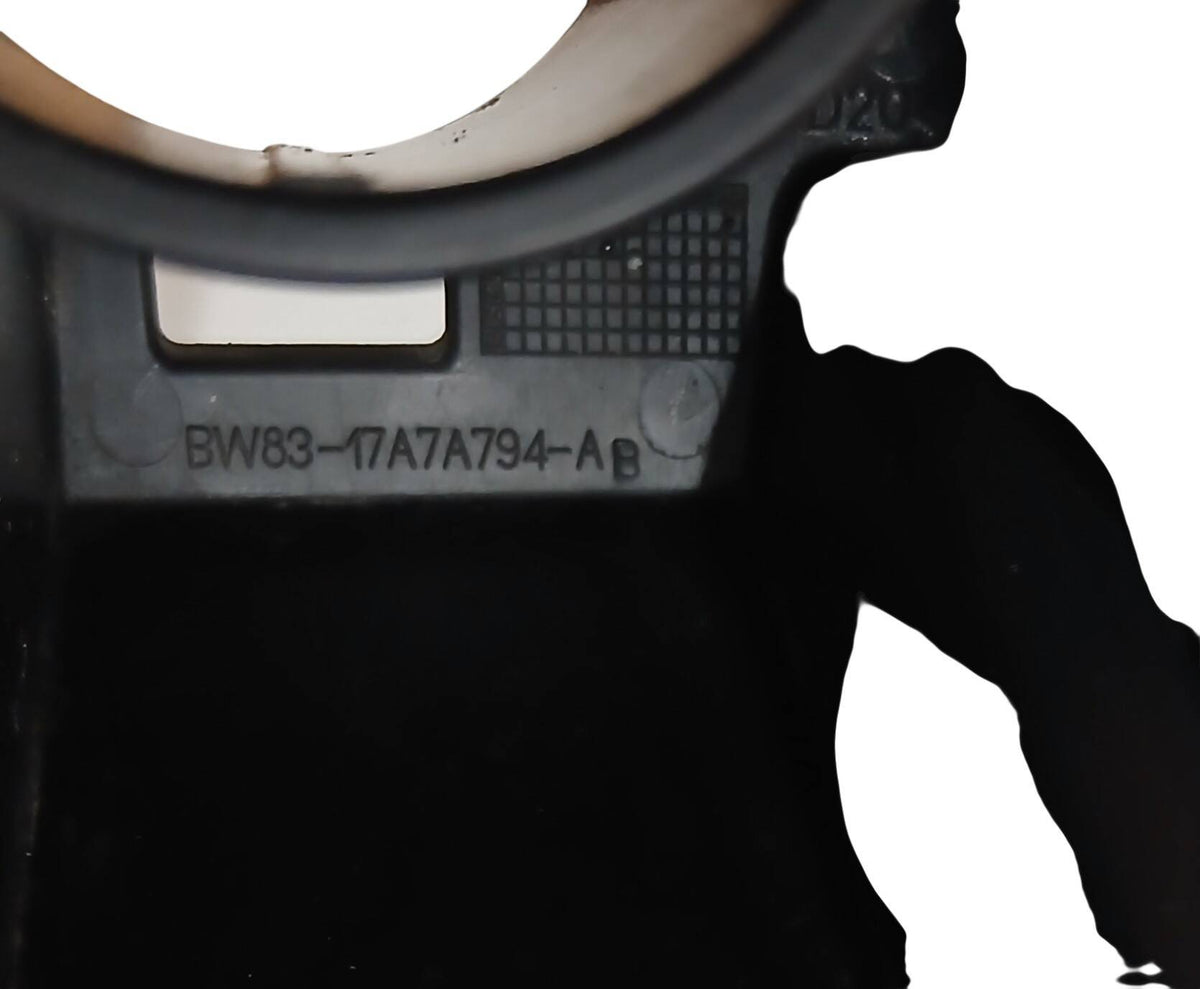 C2P20273