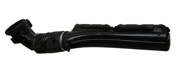 LR049313