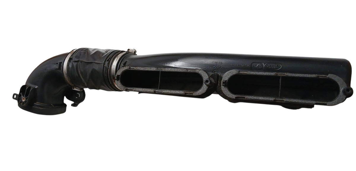 LR049313