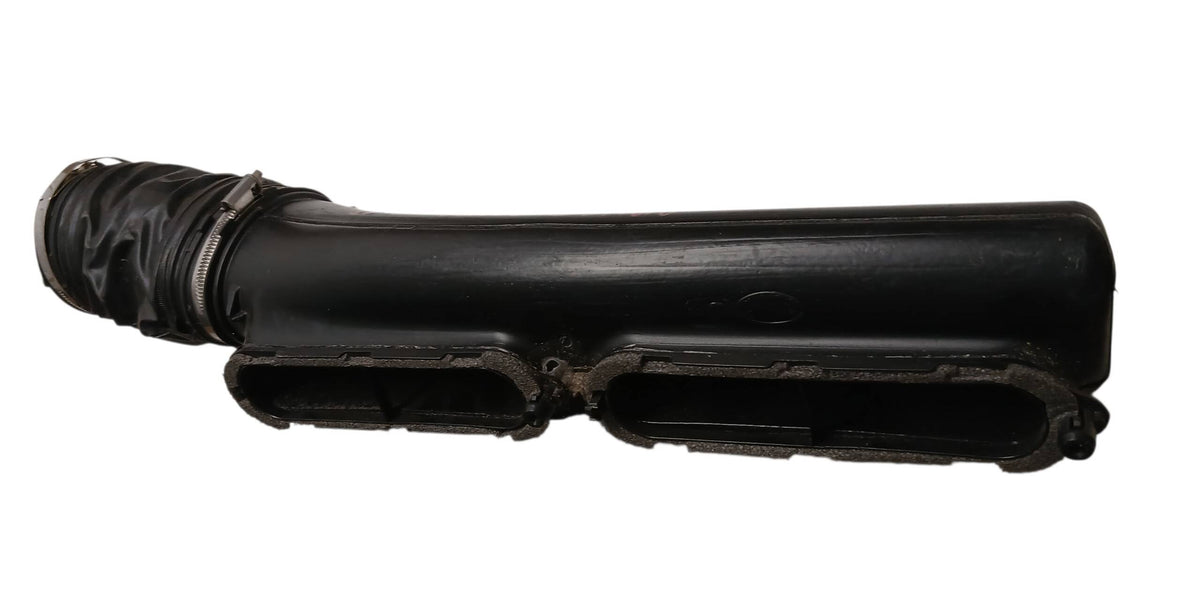 LR049313