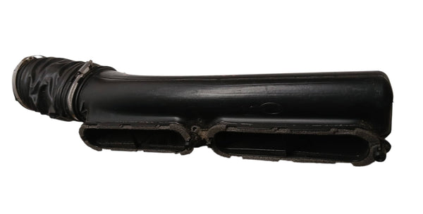 LR049313