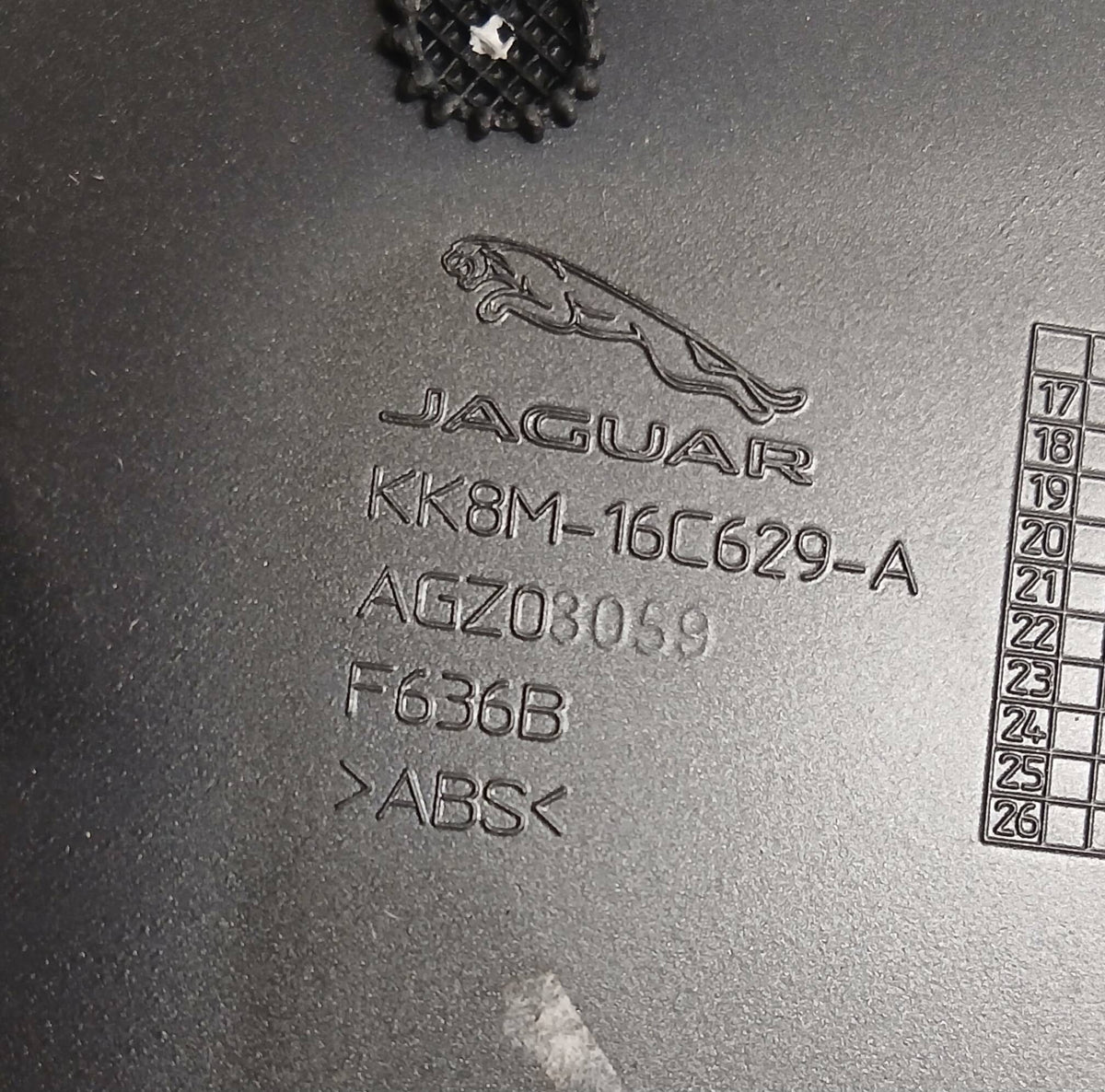 T4A37885,T4A17907