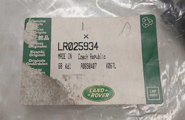 LR025934
