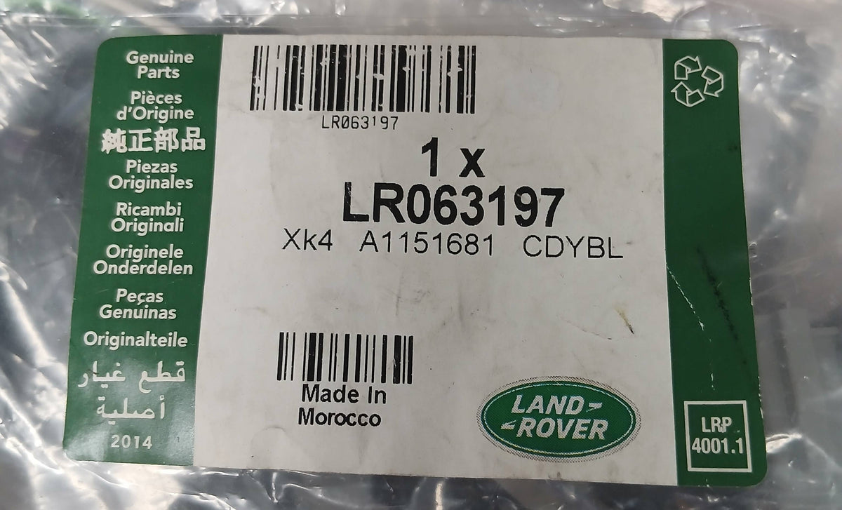 LR063197
