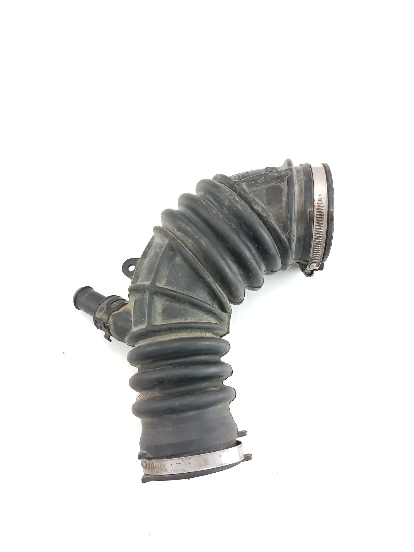 LR031365,PHD500940