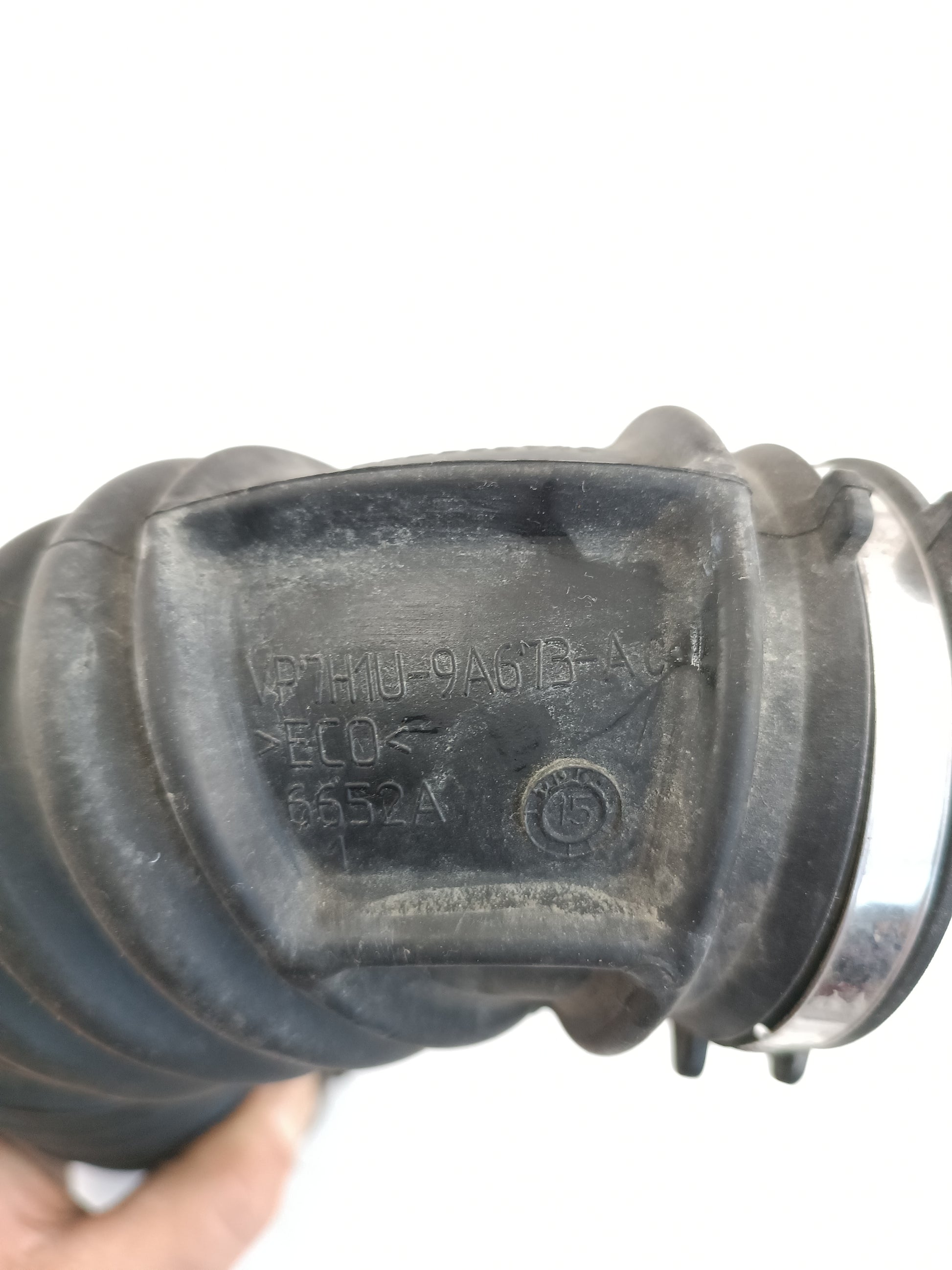 LR031365,PHD500940
