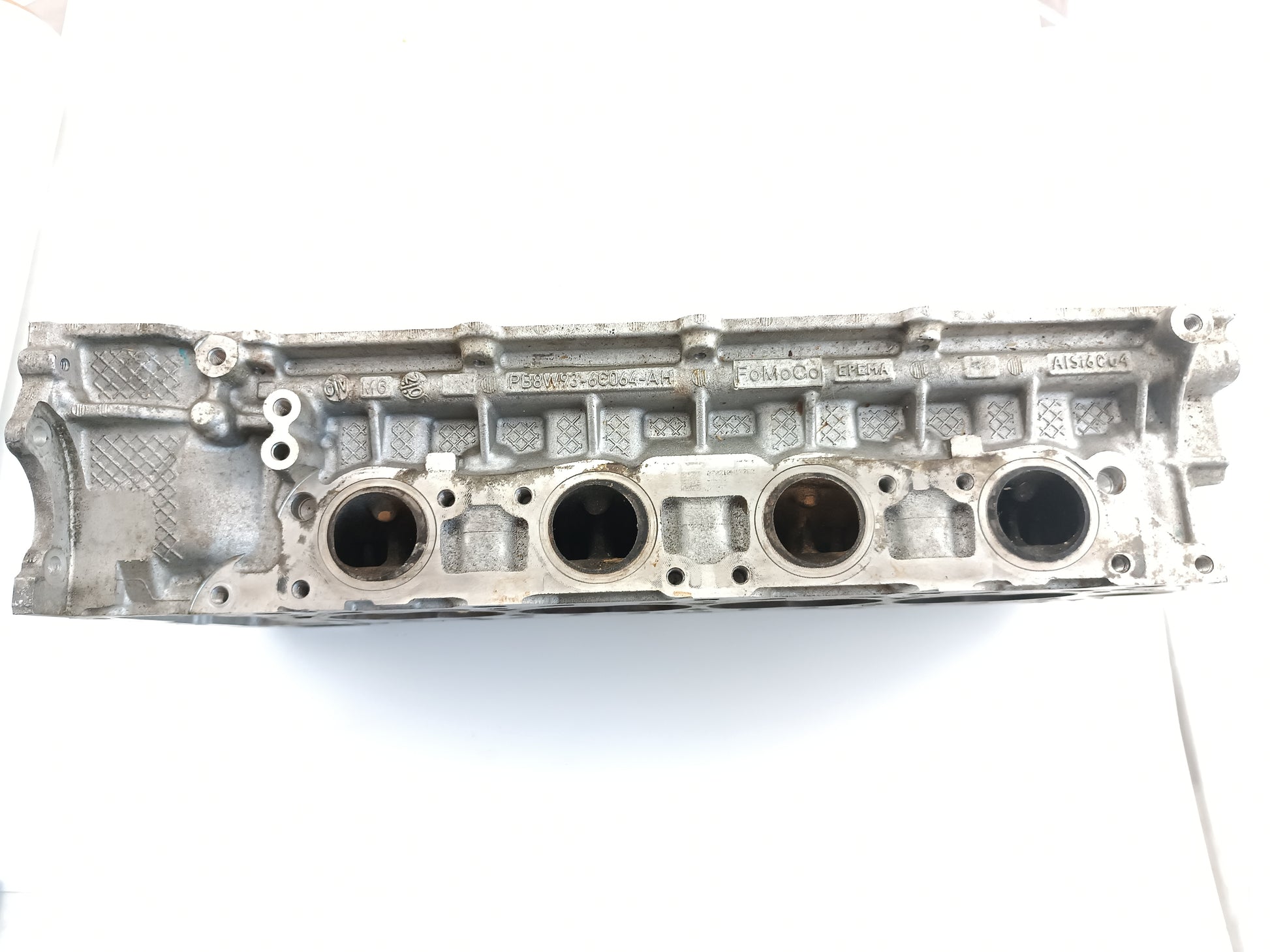 AJ812319,AJ813537,AJ813766,LR011269,LR038753,LR082797