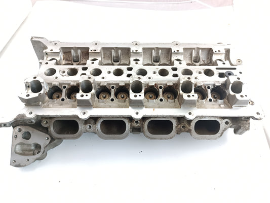 AJ812867,AJ813535,AJ813764,LR026145,LR038752,LR082796