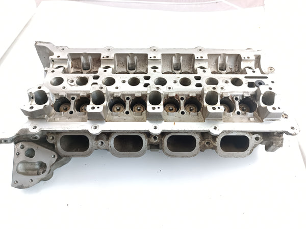 AJ812867,AJ813535,AJ813764,LR026145,LR038752,LR082796