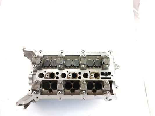 AJ813621,AJ813887,LR054846,LR094041