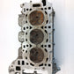 AJ813624,AJ813890,LR054847,LR094040