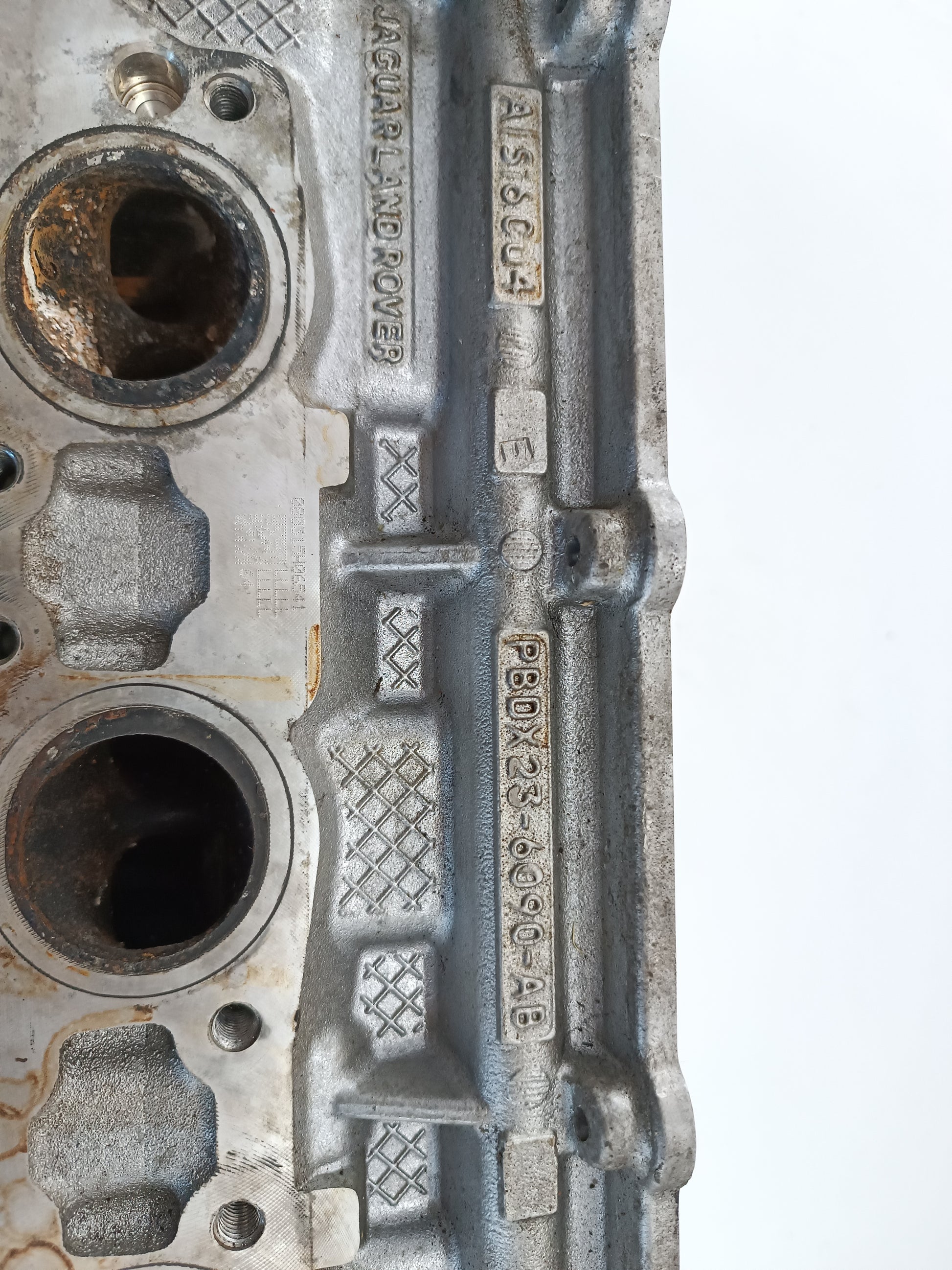 AJ813624,AJ813890,LR054847,LR094040