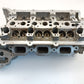 AJ813624,AJ813890,LR054847,LR094040