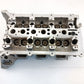 AJ813624,AJ813890,LR054847,LR094040