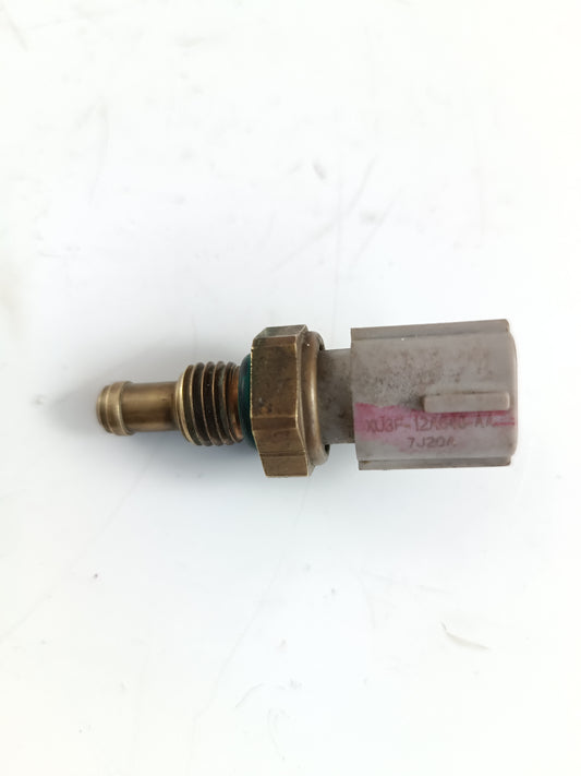 4537712,LR019736