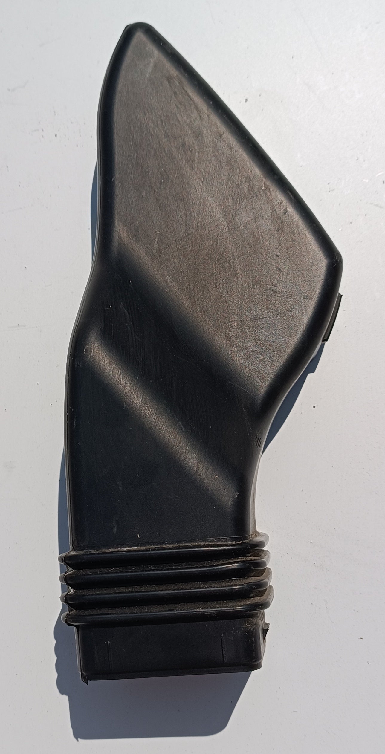 T4A2598,LR092337