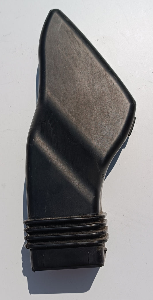T4A2598,LR092337