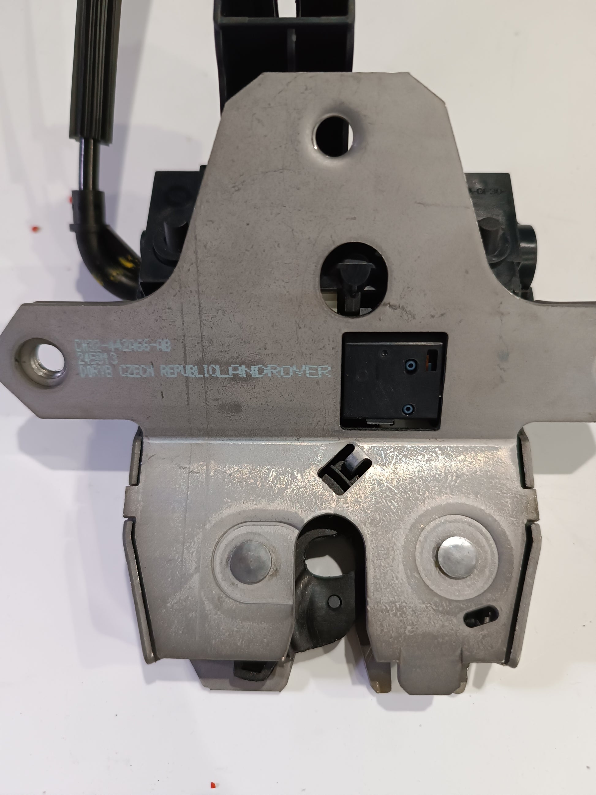 LR049494